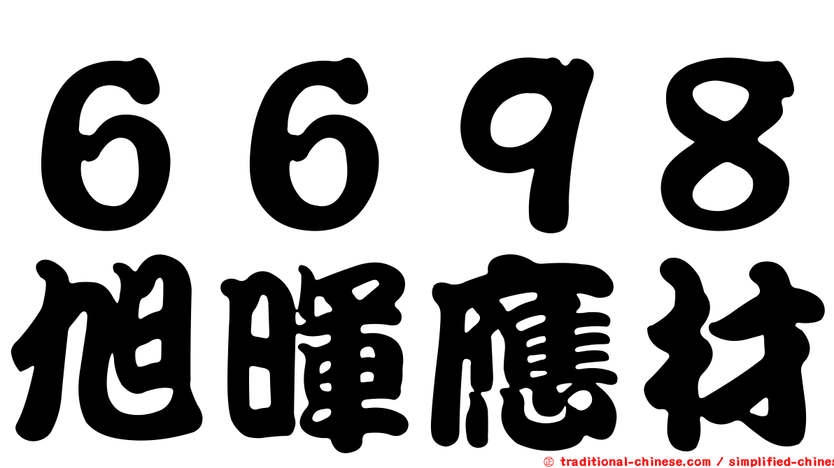 ６６９８旭暉應材