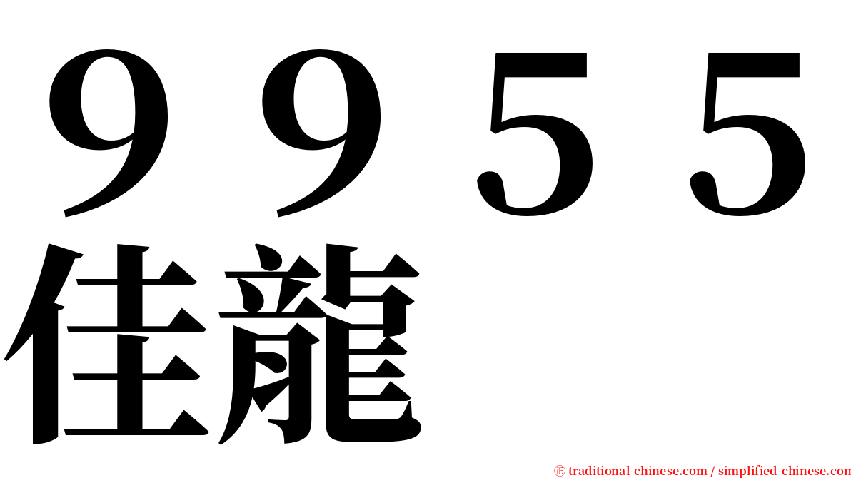 ９９５５佳龍 serif font