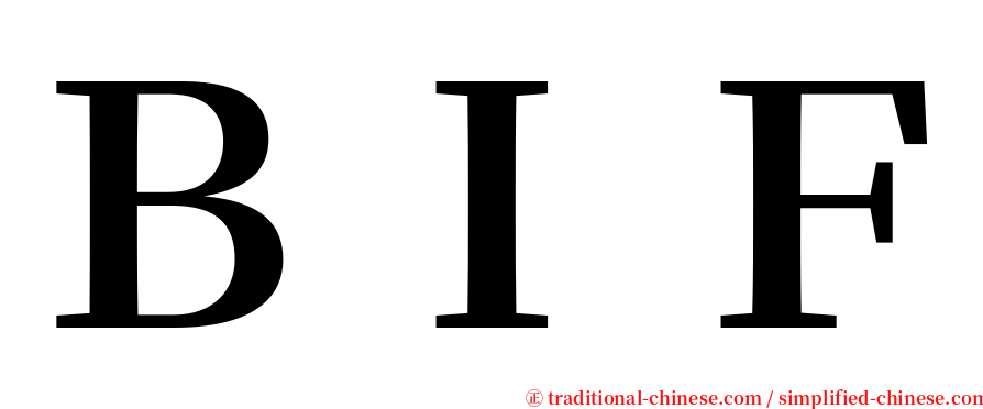 ＢＩＦ serif font