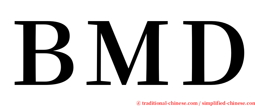 ＢＭＤ serif font