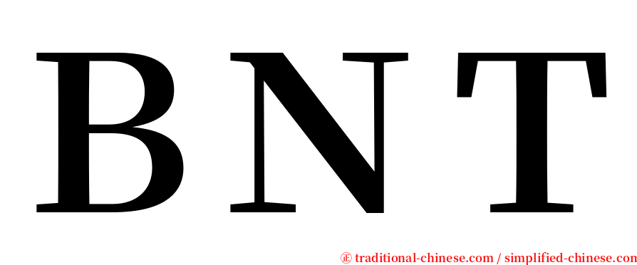 ＢＮＴ serif font