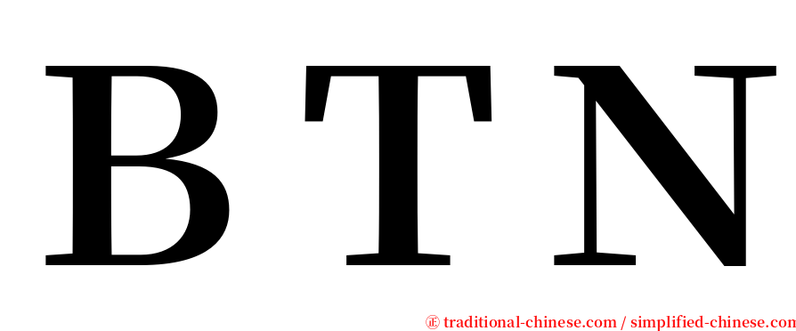 ＢＴＮ serif font