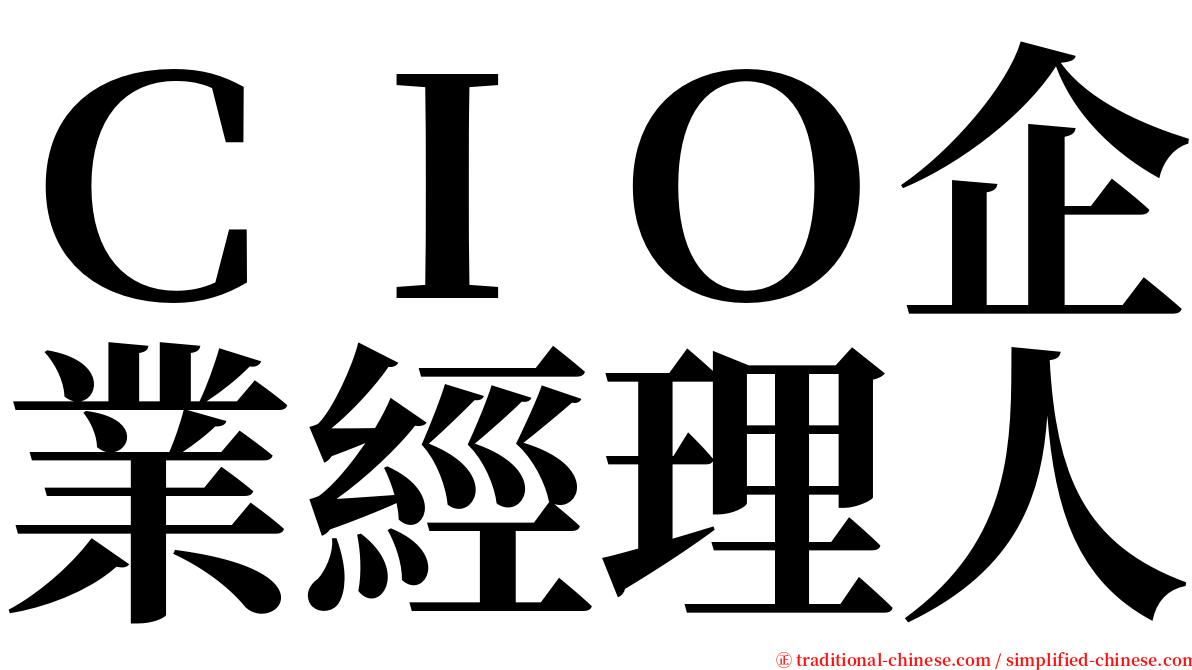 ＣＩＯ企業經理人 serif font