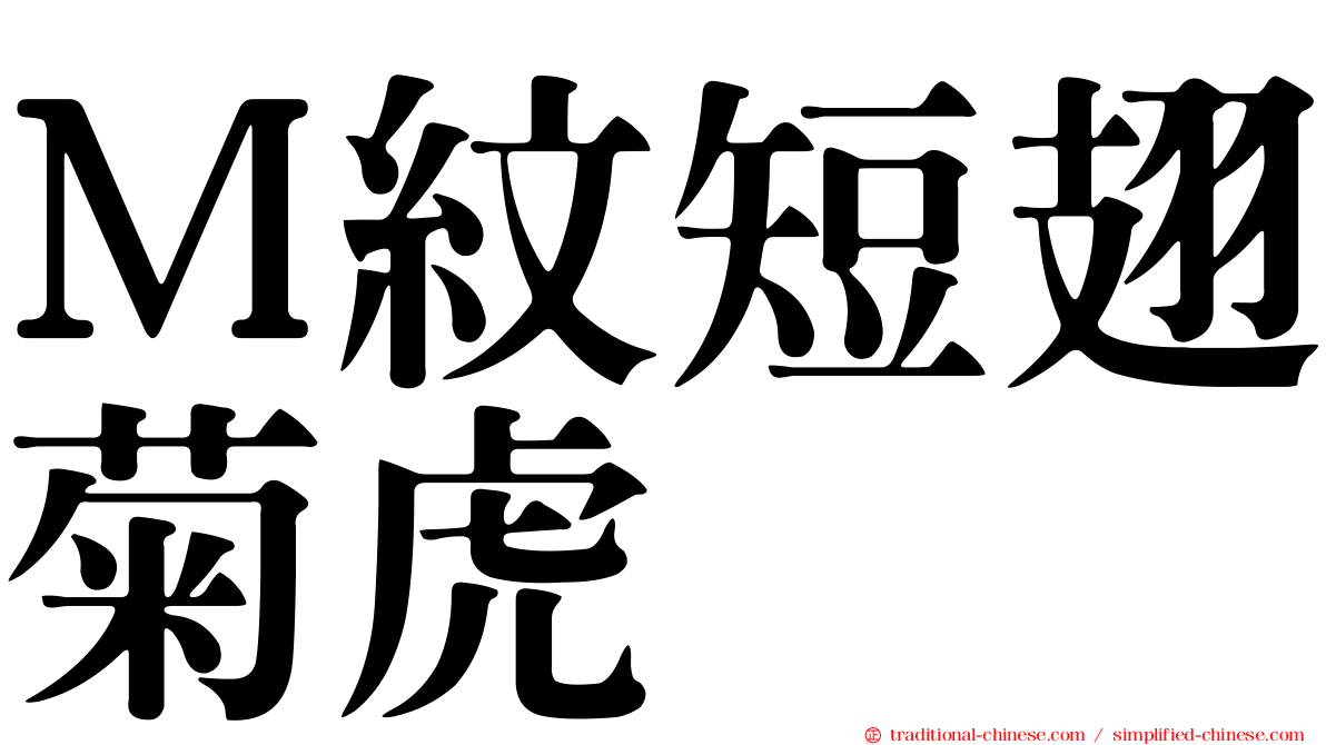 Ｍ紋短翅菊虎