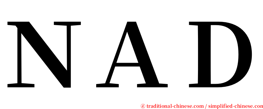 ＮＡＤ serif font