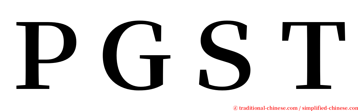 ＰＧＳＴ serif font