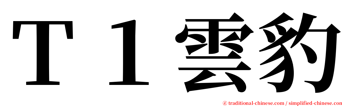 Ｔ１雲豹 serif font