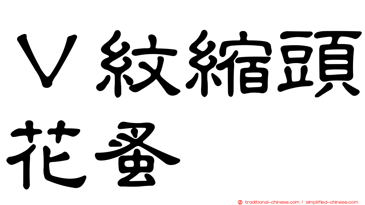Ｖ紋縮頭花蚤