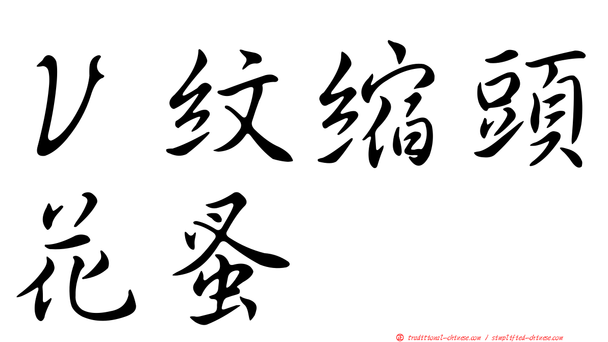 Ｖ紋縮頭花蚤