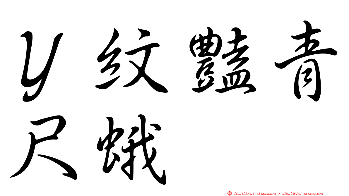 Ｙ紋豔青尺蛾