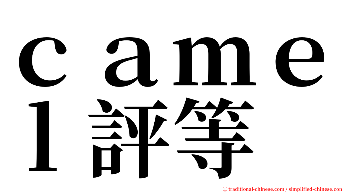 ｃａｍｅｌ評等 serif font